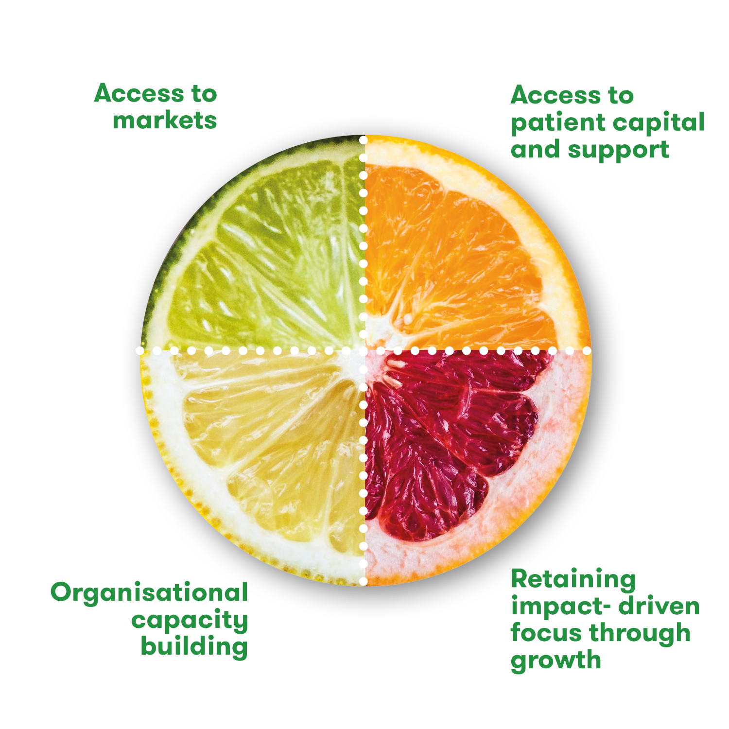 Food business visual with fruit and text