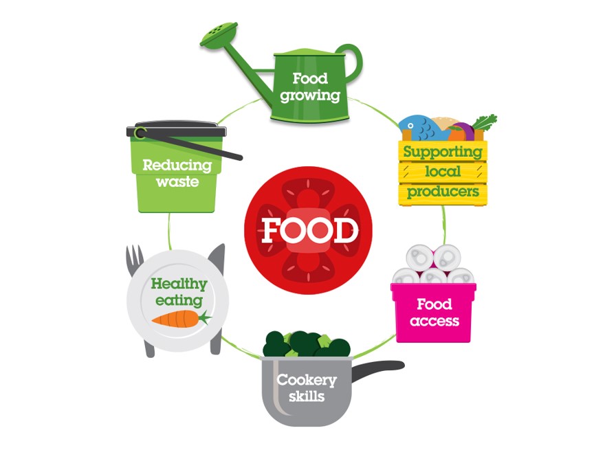 Food cycle diagram